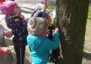 dziewczynki z lupami obserwują korę drzewa