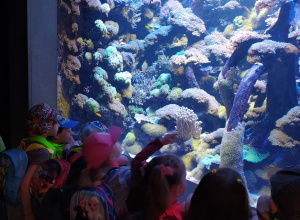 Dzieci obserwują kolorowe wnętrze dużego akwarium