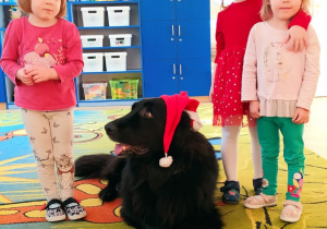 Spotkanie edukacyjne z weterynarzem i jego żywymi zwierzątkami: „Pies, owczarek niemiecki”