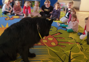 Spotkanie edukacyjne z weterynarzem i jego żywymi zwierzątkami: „Pies, owczarek niemiecki”
