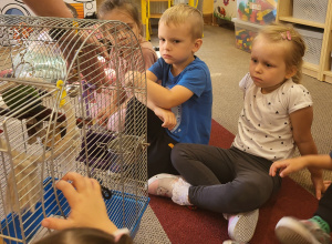 Spotkanie edukacyjne z weterynarzem i jego żywymi zwierzątkami: papuga