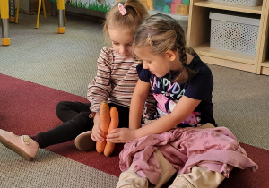 Projekt edukacyjno - badawczy "Sok marchewkowy" - Porównywanie kształtu, wielkości, grubości marchewek