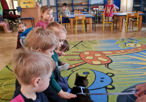 Spotkanie z weterynarzem i jego zwierzętami - kot