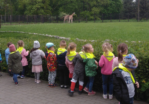 dzieci w zoo