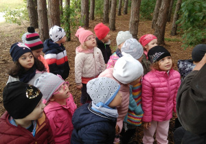 dzieci w lesie