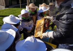 dzieci w strojach pszczelarza obserwują plaste z pszczołami