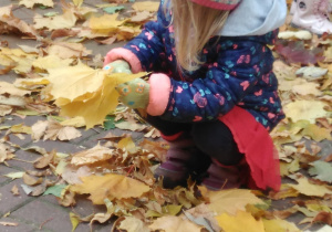 dziewczynka zbiera liście