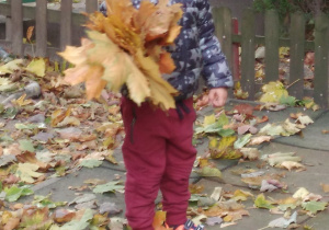 chłopiec z bukietem liści