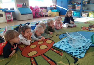 dzieci na dywanie obserwują kraba